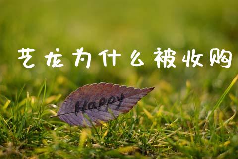 艺龙为什么被收购_https://m.ycdhulan.com_期货交易_第1张