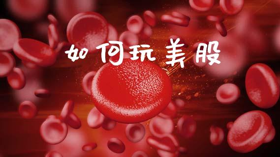 如何玩美股_https://m.ycdhulan.com_理财产品_第1张