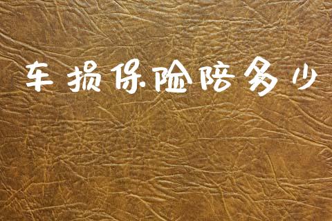 车损保险陪多少_https://m.ycdhulan.com_股市在线_第1张