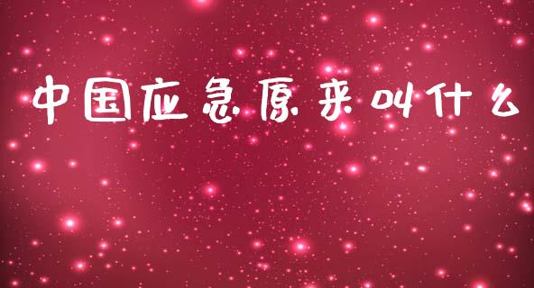 中国应急原来叫什么_https://m.ycdhulan.com_国际金融_第1张
