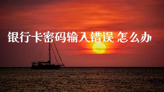银行卡密码输入错误 怎么办_https://m.ycdhulan.com_国际金融_第1张
