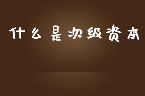 什么是次级资本_https://m.ycdhulan.com_理财产品_第1张