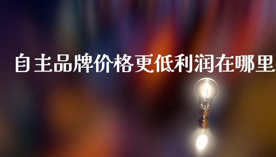 自主品牌价格更低利润在哪里_https://m.ycdhulan.com_股市在线_第1张