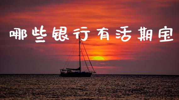 哪些银行有活期宝_https://m.ycdhulan.com_财经要闻_第1张