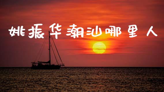 姚振华潮汕哪里人_https://m.ycdhulan.com_股市在线_第1张