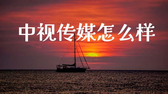 中视传媒怎么样_https://m.ycdhulan.com_财经要闻_第1张