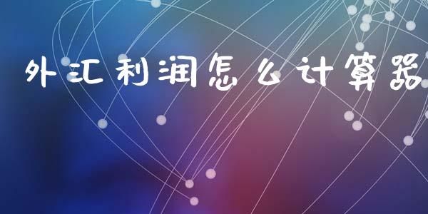 外汇利润怎么计算器_https://m.ycdhulan.com_财经要闻_第1张