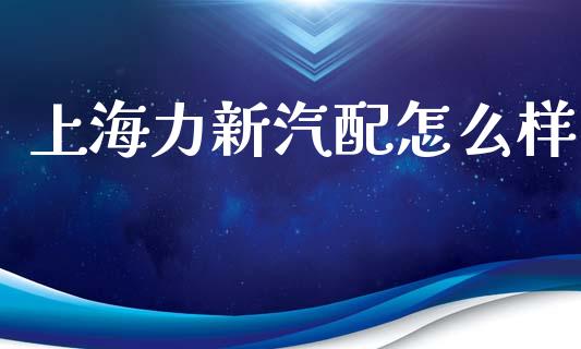 上海力新汽配怎么样_https://m.ycdhulan.com_国际金融_第1张