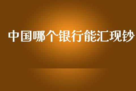 中国哪个银行能汇现钞_https://m.ycdhulan.com_证券新闻_第1张
