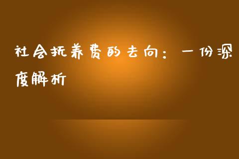 社会抚养费的去向：一份深度解析_https://m.ycdhulan.com_期货交易_第1张