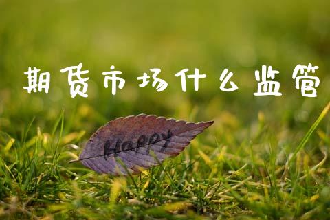 期货市场什么监管_https://m.ycdhulan.com_国际金融_第1张
