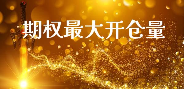期权最大开仓量_https://m.ycdhulan.com_理财产品_第1张
