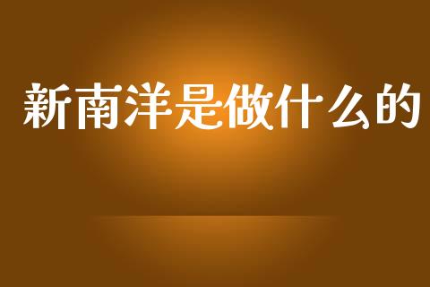 新南洋是做什么的_https://m.ycdhulan.com_财经要闻_第1张