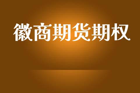 徽商期货期权_https://m.ycdhulan.com_期货交易_第1张