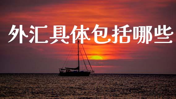 外汇具体包括哪些_https://m.ycdhulan.com_财经要闻_第1张