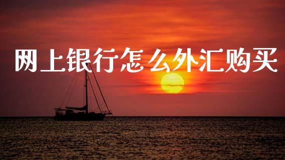 网上银行怎么外汇购买_https://m.ycdhulan.com_股市在线_第1张