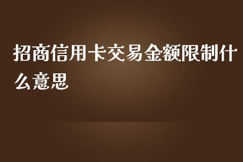 招商信用卡交易金额限制什么意思_https://m.ycdhulan.com_证券新闻_第1张