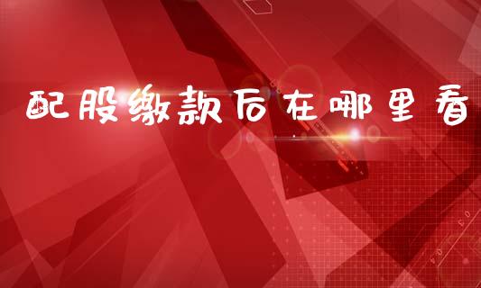 配股缴款后在哪里看_https://m.ycdhulan.com_财经要闻_第1张