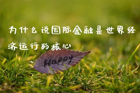 为什么说国际金融是世界经济运行的核心_https://m.ycdhulan.com_国际金融_第1张