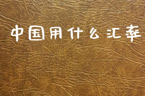 中国用什么汇率_https://m.ycdhulan.com_股市在线_第1张