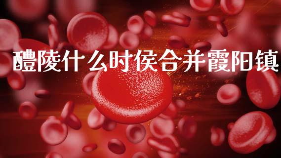 醴陵什么时侯合并霞阳镇_https://m.ycdhulan.com_财经要闻_第1张