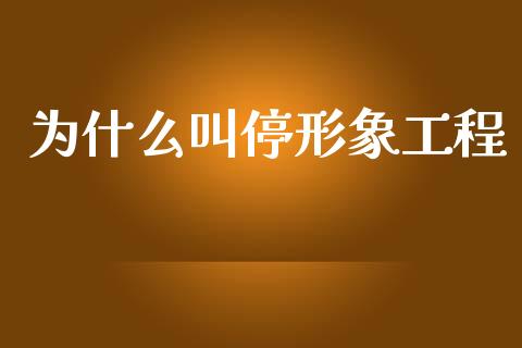 为什么叫停形象工程_https://m.ycdhulan.com_国际金融_第1张