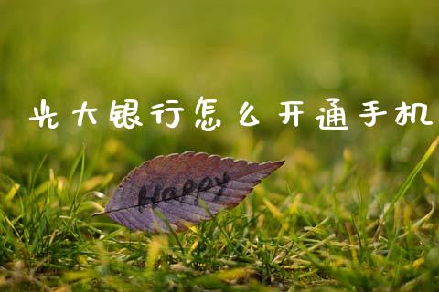 光大银行怎么开通手机_https://m.ycdhulan.com_财经要闻_第1张