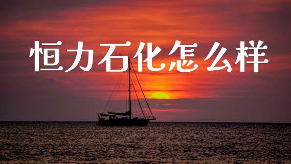 恒力石化怎么样_https://m.ycdhulan.com_国际金融_第1张
