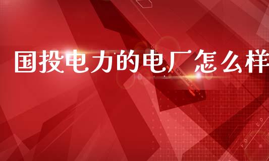 国投电力的电厂怎么样_https://m.ycdhulan.com_国际金融_第1张