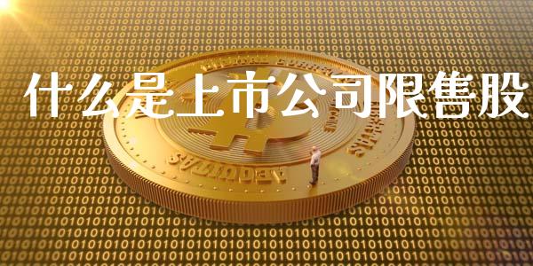 什么是上市公司限售股_https://m.ycdhulan.com_股市在线_第1张
