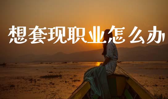 想套现职业怎么办_https://m.ycdhulan.com_理财产品_第1张