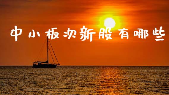 中小板次新股有哪些_https://m.ycdhulan.com_财经要闻_第1张