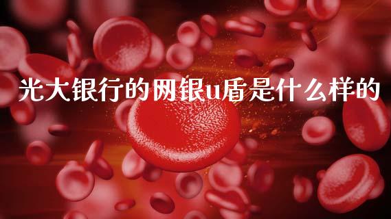 光大银行的网银u盾是什么样的_https://m.ycdhulan.com_期货交易_第1张