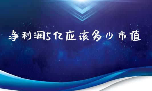 净利润5亿应该多少市值_https://m.ycdhulan.com_财经要闻_第1张