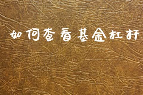 如何查看基金杠杆_https://m.ycdhulan.com_证券新闻_第1张