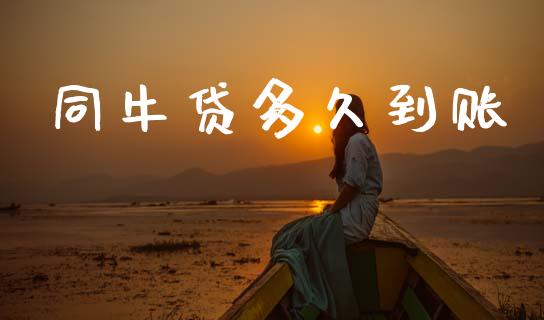 同牛贷多久到账_https://m.ycdhulan.com_理财产品_第1张