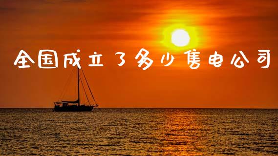 全国成立了多少售电公司_https://m.ycdhulan.com_期货交易_第1张