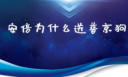 安倍为什么送普京狗_https://m.ycdhulan.com_股市在线_第1张
