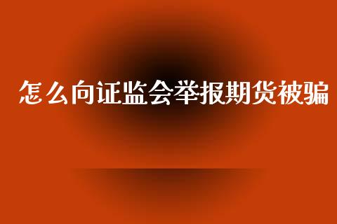 怎么向证监会举报期货被骗_https://m.ycdhulan.com_股市在线_第1张