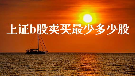 上证b股卖买最少多少股_https://m.ycdhulan.com_期货交易_第1张
