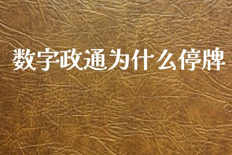 数字政通为什么停牌_https://m.ycdhulan.com_股市在线_第1张