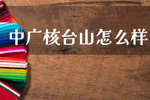 中广核台山怎么样_https://m.ycdhulan.com_证券新闻_第1张