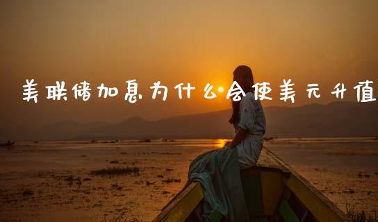 美联储加息为什么会使美元升值_财经要闻_第1张_财经要闻_股市在线_理财产品_国际金融 美联储加息为什么会使美元升值_https://m.ycdhulan.com_财经要闻_第1张