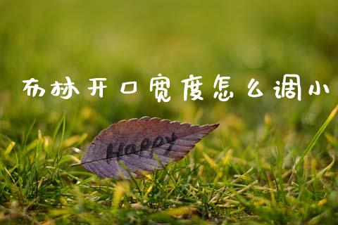 布林开口宽度怎么调小_https://m.ycdhulan.com_证券新闻_第1张