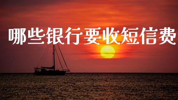 哪些银行要收短信费_https://m.ycdhulan.com_理财产品_第1张