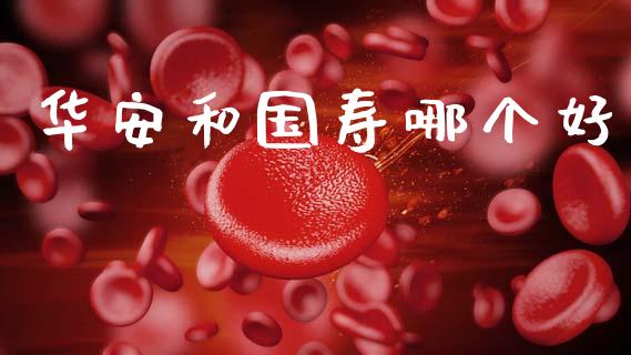 华安和国寿哪个好_https://m.ycdhulan.com_财经要闻_第1张