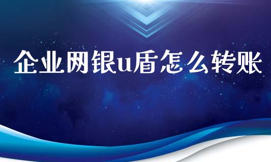 企业网银u盾怎么转账_https://m.ycdhulan.com_股市在线_第1张