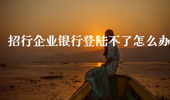 招行企业银行登陆不了怎么办_https://m.ycdhulan.com_股市在线_第1张