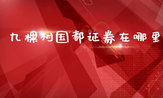 九棵树国都证券在哪里_https://m.ycdhulan.com_国际金融_第1张