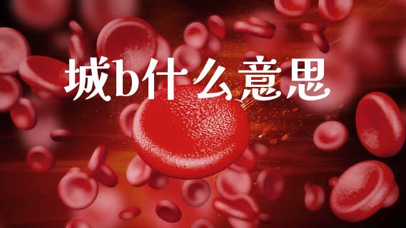 城b什么意思_https://m.ycdhulan.com_财经要闻_第1张